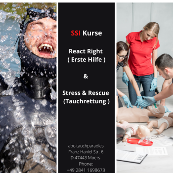 abc Kurs React Right und Stress& Rescue